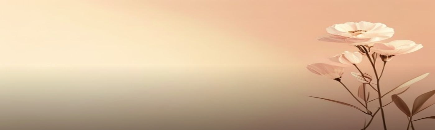 Decoprof cashback banner