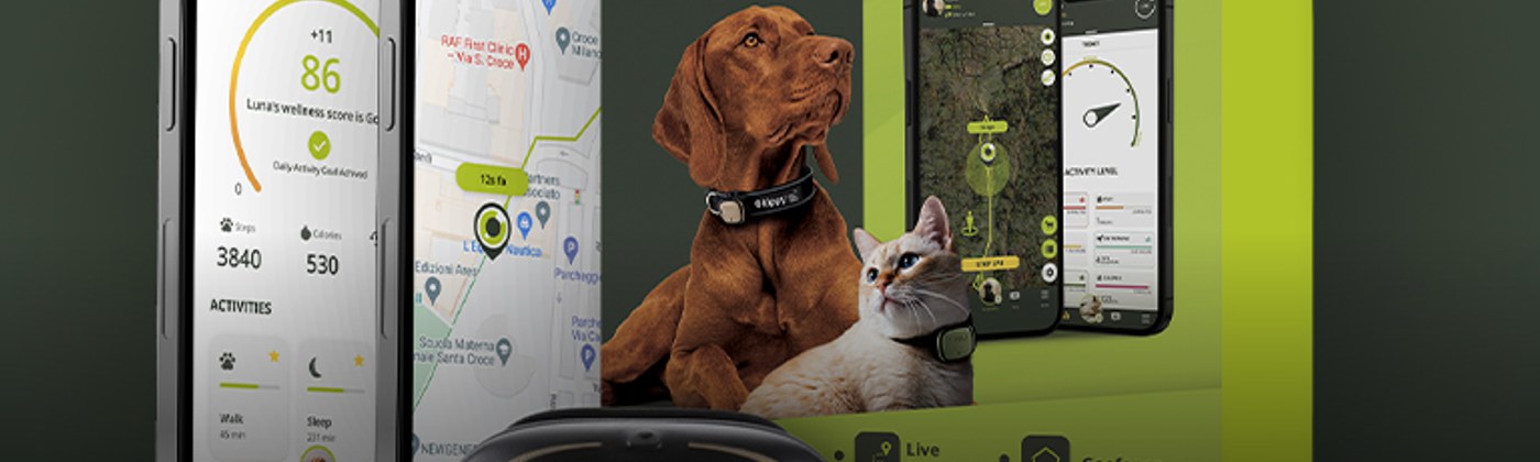 Kippy srl cashback banner