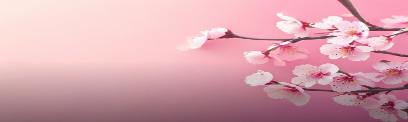 Stylevana cashback banner