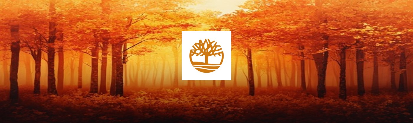 Timberland cashback banner